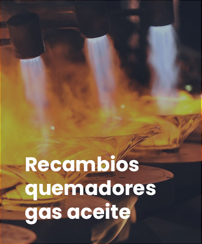 Recambios quemadores gas aceite