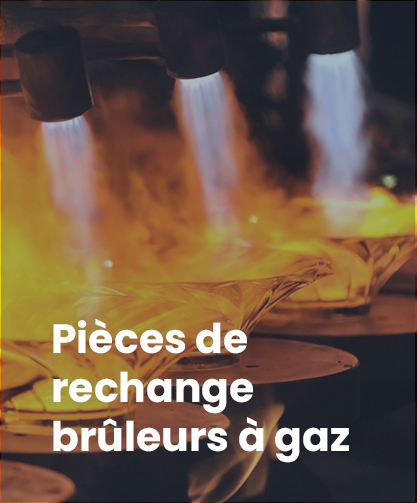 PIÈCES DE RECHANGE BRÛLEURS À GAZ