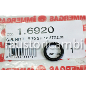 IMMERGAS O'RING GASKET ART. 16920 12.37 X 2.62 BOILER