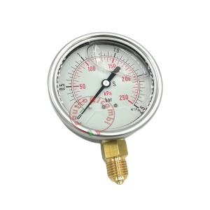 GLYCERINE BATH PRESSURE GAUGE AUTOCLAVE Ø 63 mm 1/4 RADIAL BAR 2,5