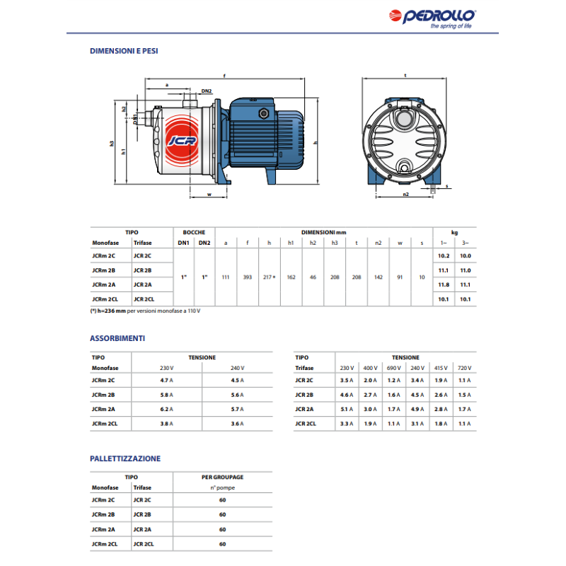 Pompe Électrique Pedrollo Jswm 2AX HP 1,5 220v Eau Auto-Amorçante