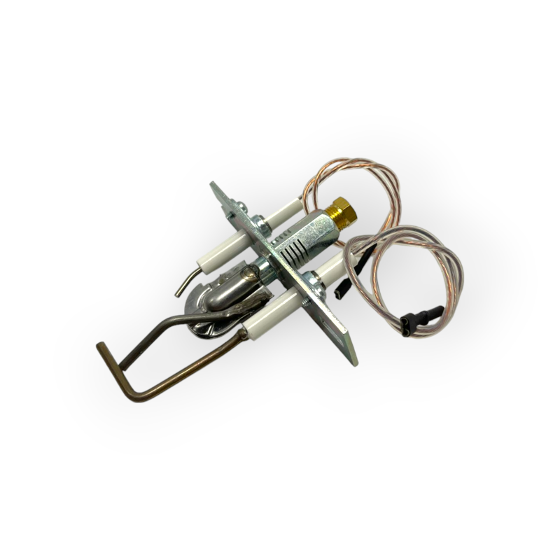 SAVIO BIASI FLAMME VEILLEUSE GROUPE D'ÉLECTRODE G20 BI1312106 CHAUDIÈRE