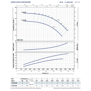 PEDROLLO F 100/250B ELETTROPOMPA POMPA MONOBLOCCO PER ACQUA TRIFASE 55 KW 75 HP