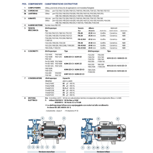 PEDROLLO F 100/250B ELETTROPOMPA POMPA MONOBLOCCO PER ACQUA TRIFASE 55 KW 75 HP