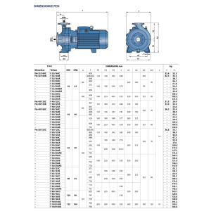 PEDROLLO F 100/250B ELETTROPOMPA POMPA MONOBLOCCO PER ACQUA TRIFASE 55 KW 75 HP