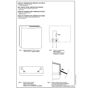 SEITRON SONDA AMBIENTE REMOTA PER FREETIME PLUS / RKP01M