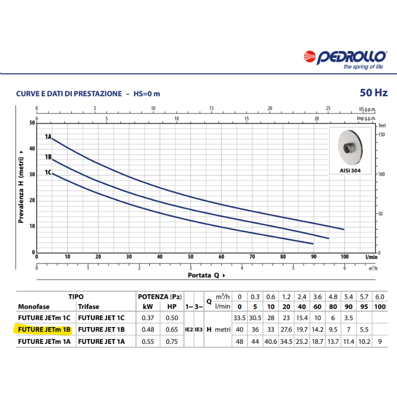 PEDROLLO 46FJ001BA1 FUTURE JETM 1B ELETTROPOMPA AUTOADESCANTE 0,65 HP PER AUTOCLAVE E IRRIGAZIONE